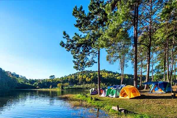 De nouvelles activités cette année au camping Modèle Daïquiri